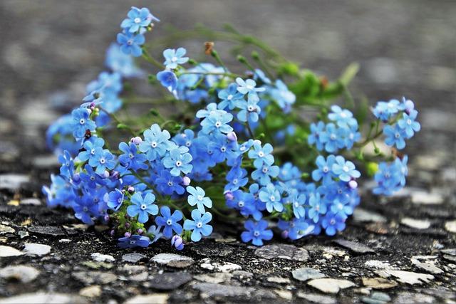 Nezapomeňte na tu nejdůležitější součást - upřímné a laskavé slovo