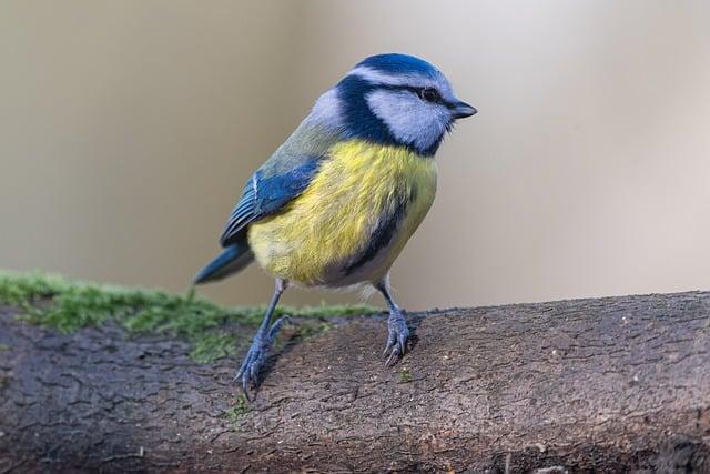 Zlínská Pracovní Evoluce: Budování týmové důvěry v sdílených kancelářích