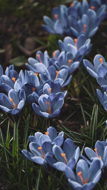 Kroky k nákupu ⁤předplatného na OnlyFans