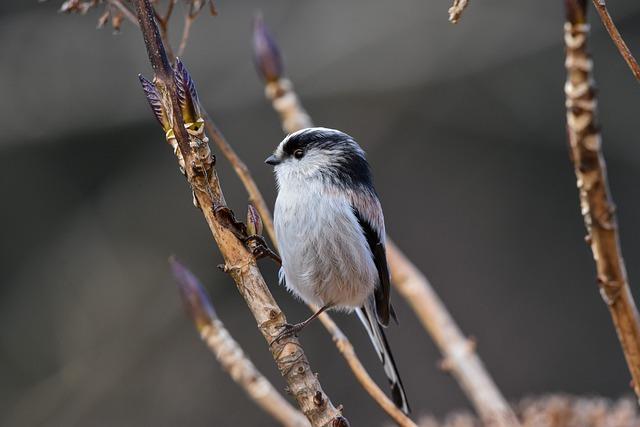 Průvodce správným financováním projektu