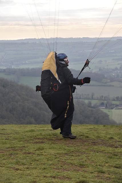 Využití aukcí jako inovativního byznys modelu