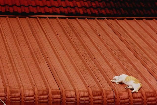 Zvládání stresu a vyhoření v mladém věku