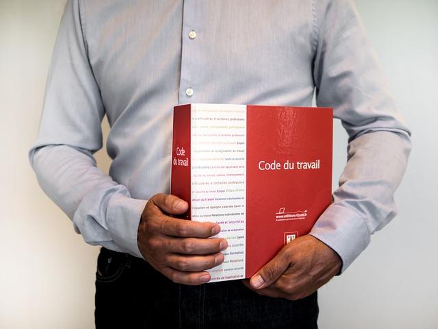 Právní povinnosti a zodpovědnosti delegáta