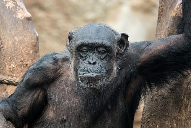 Vývoj a inovace ve světě digitálního podnikání