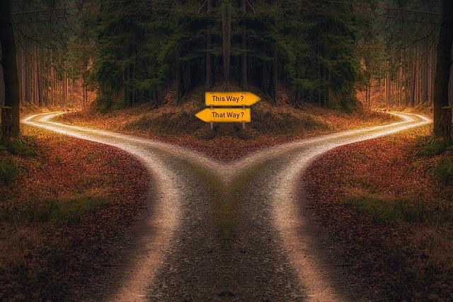 Jaká rozhodnutí a akce vedou k udržitelnému růstu a úspěchu firmy?