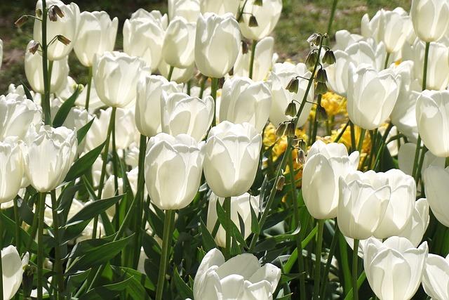 Rozdíl mezi výhružkou a výhrůžkou