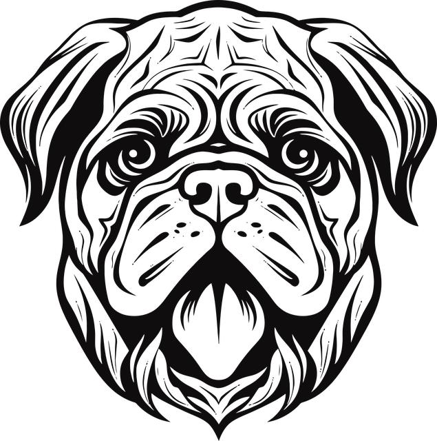 Co je digitální podnik: Přehled moderního byznysu