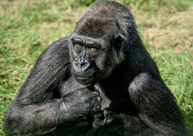 Kritické zhodnocení důvodů finančního neúspěchu