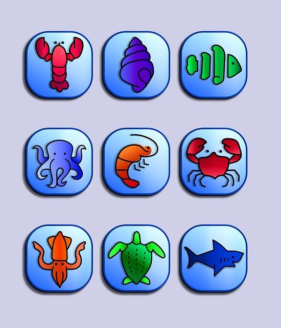 Výběr vhodných digitálních nástrojů pro podnikání