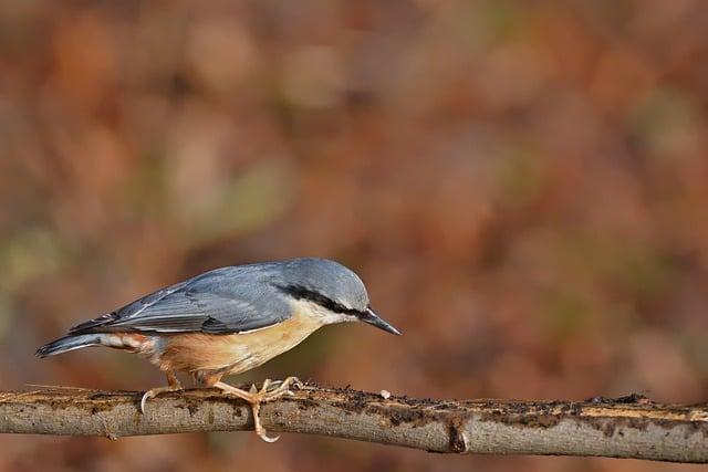 Jak funguje affiliate síť a co znamená pro váš business