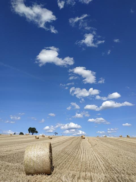 Faktory ovlivňující růst podniku